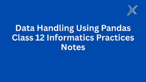 Data Handling Using Pandas | Class 12 Informatics Practices Notes