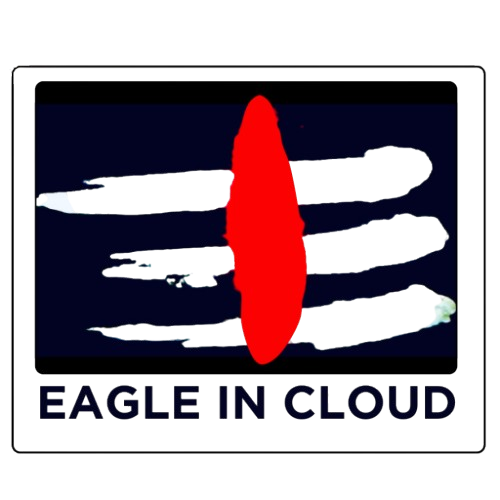 EAGLE IN CLOUD